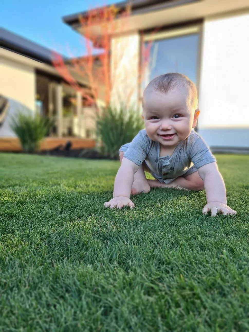 Grass Natural and Artificial lawn NZ - Ready lawn