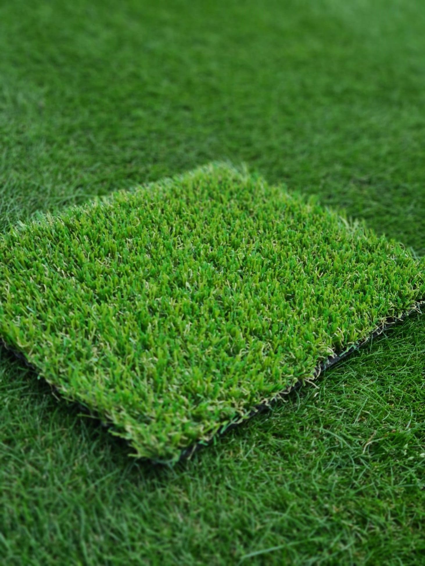 Ascot Artificial Grass