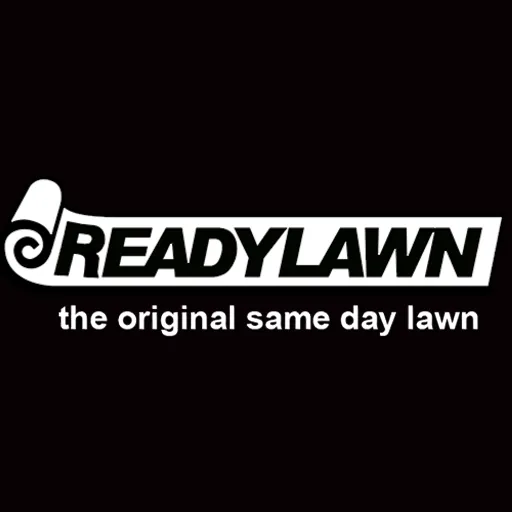 Readylawn Timaru – Lawn Installation